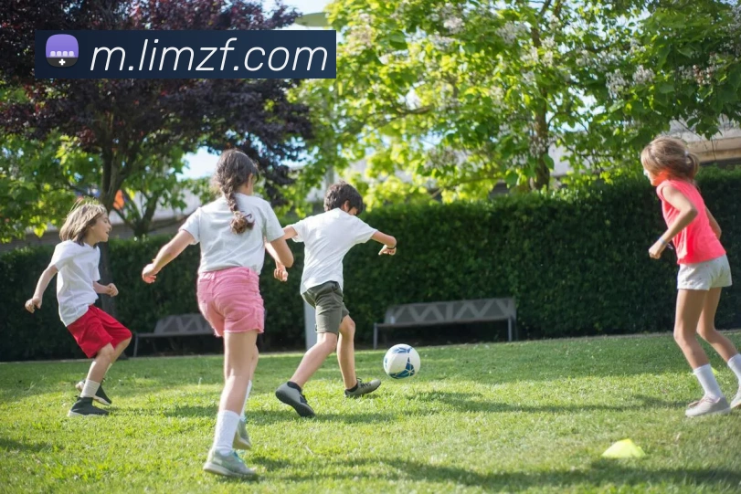 乐鱼官方网站平台生态图