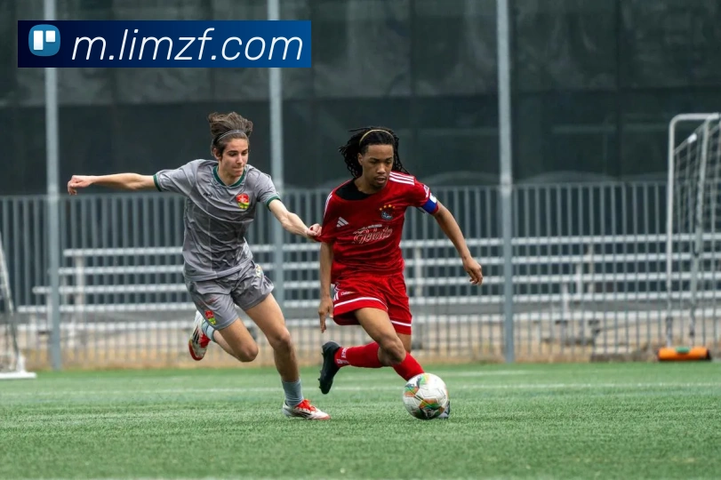 乐鱼官方网站APP 封面图